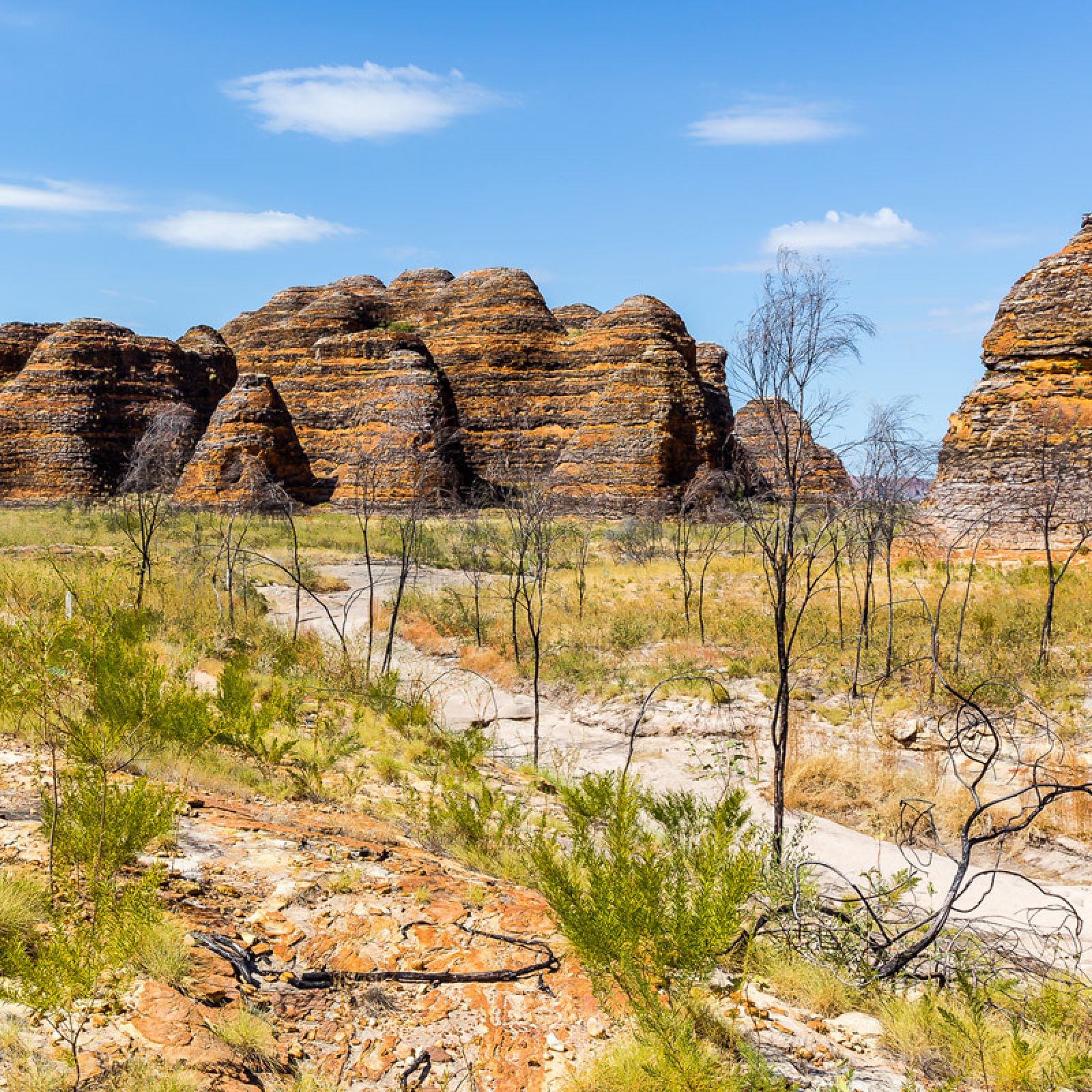 Bungle Bungles