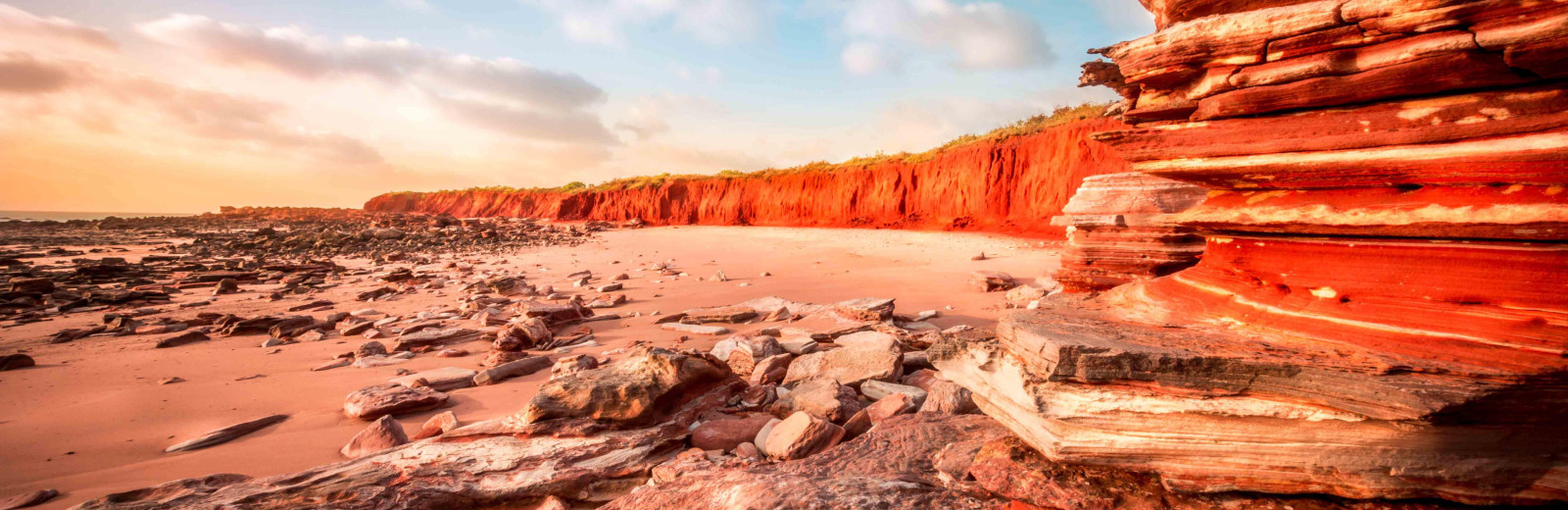 Shinju Matsuri 2023 Digital Event Program available NOW!