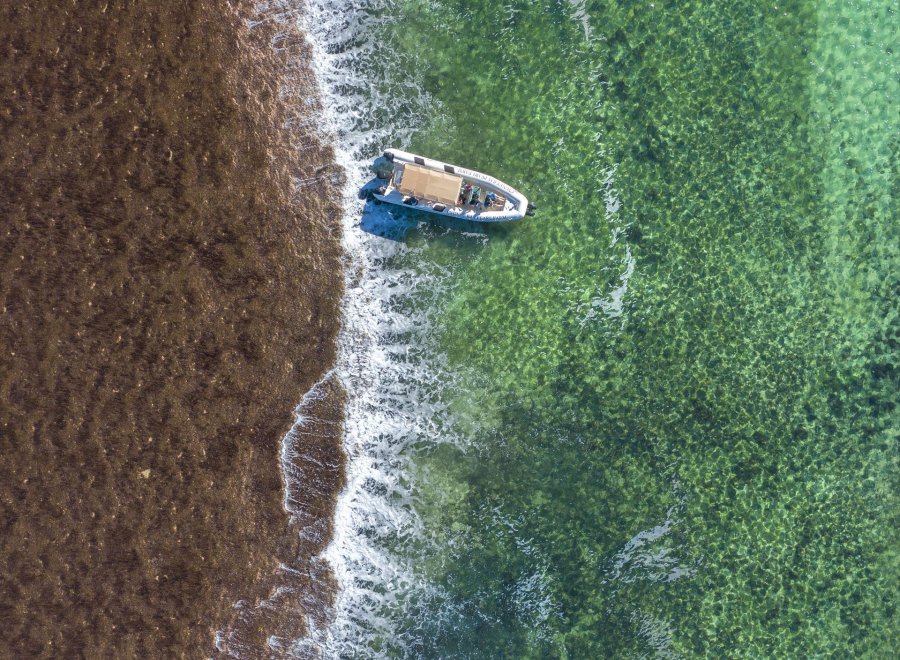 Cygnet Bay Pearl Farm Tours