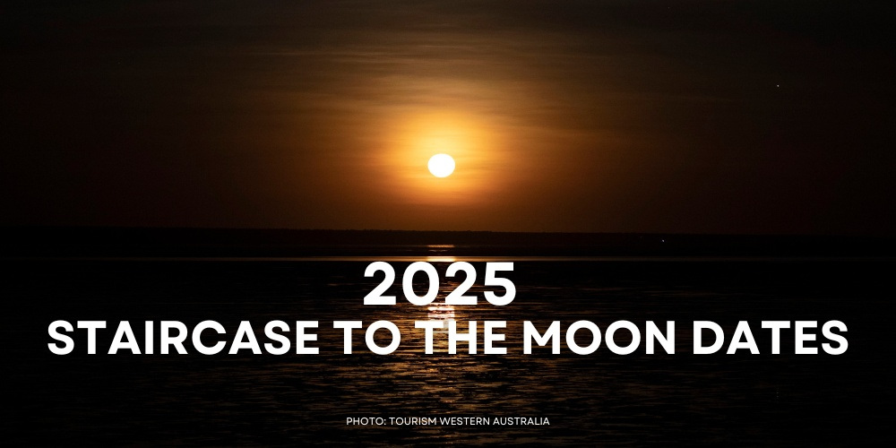 2025 Staircase to The Moon