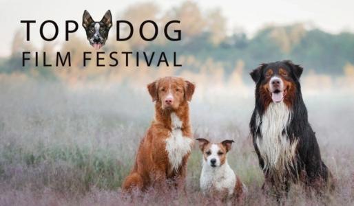 Top Dog Film Festival 2025